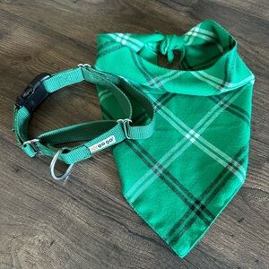 gogo Martingale Green Dog Collar & Plaid Bandana